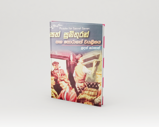 Novels - සත් මිතුරන් සහ සොරාගත් වයලීනය (Puzzle for Secret Seven)